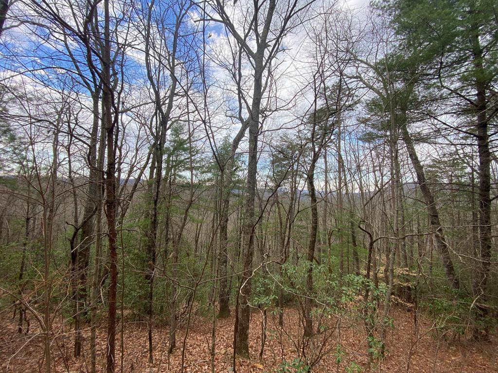 Lot 43 Granite Drive #43, HAYESVILLE, North Carolina image 29