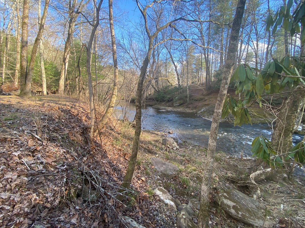 Lot 43 Granite Drive #43, HAYESVILLE, North Carolina image 8