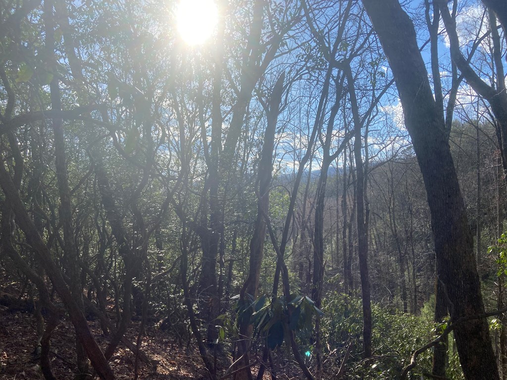 Lot 43 Granite Drive #43, HAYESVILLE, North Carolina image 21