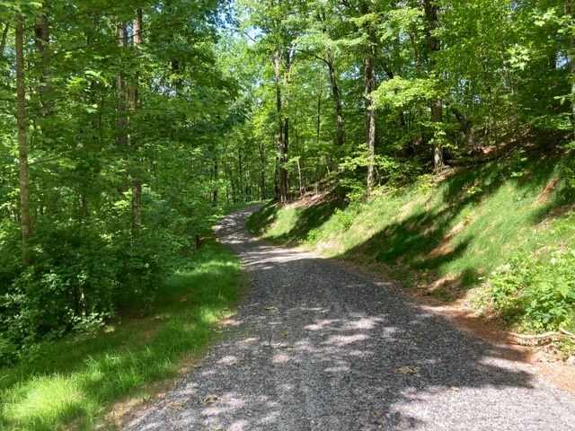 LT 74/75 Butternut Lane #74/75, HAYESVILLE, North Carolina image 8