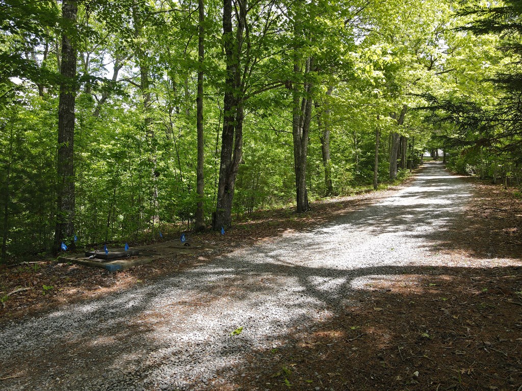 Hawkview 4.78 Ac, HIAWASSEE, Georgia image 2