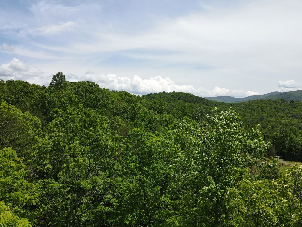 Hawkview 4.78 Ac, HIAWASSEE, Georgia image 11