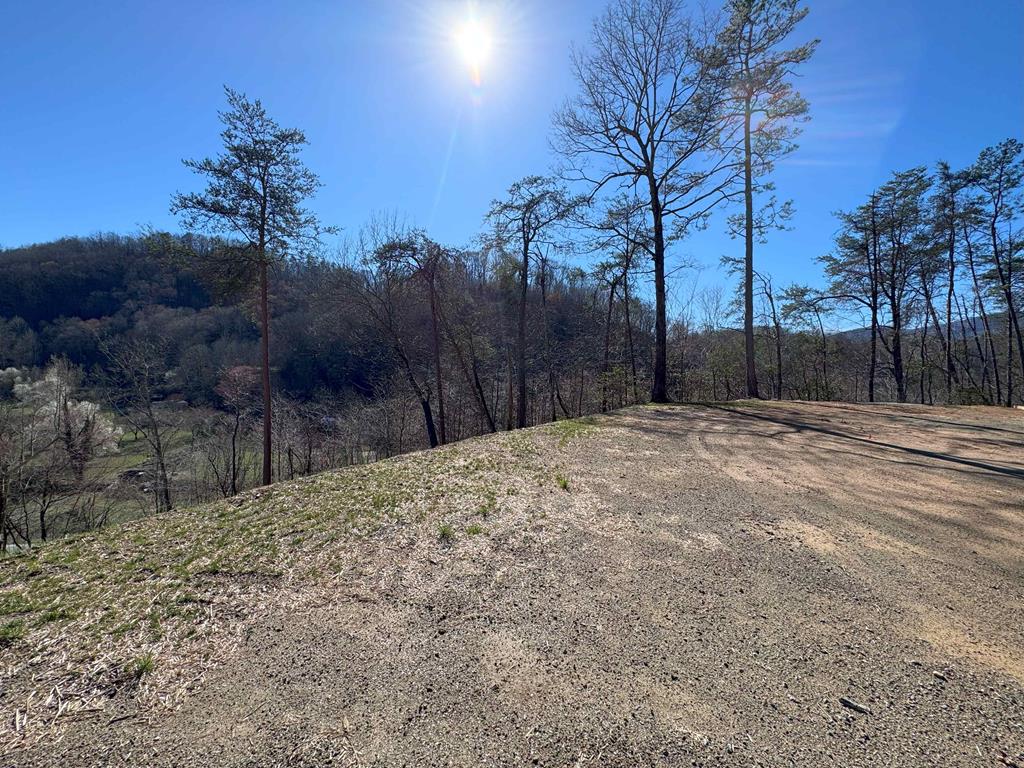 7502 Hwy 141 #3, MARBLE, North Carolina image 11