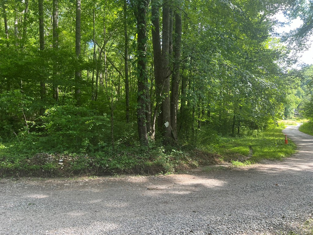 Lot 8 Collett Creek Rd #8, ANDREWS, North Carolina image 5