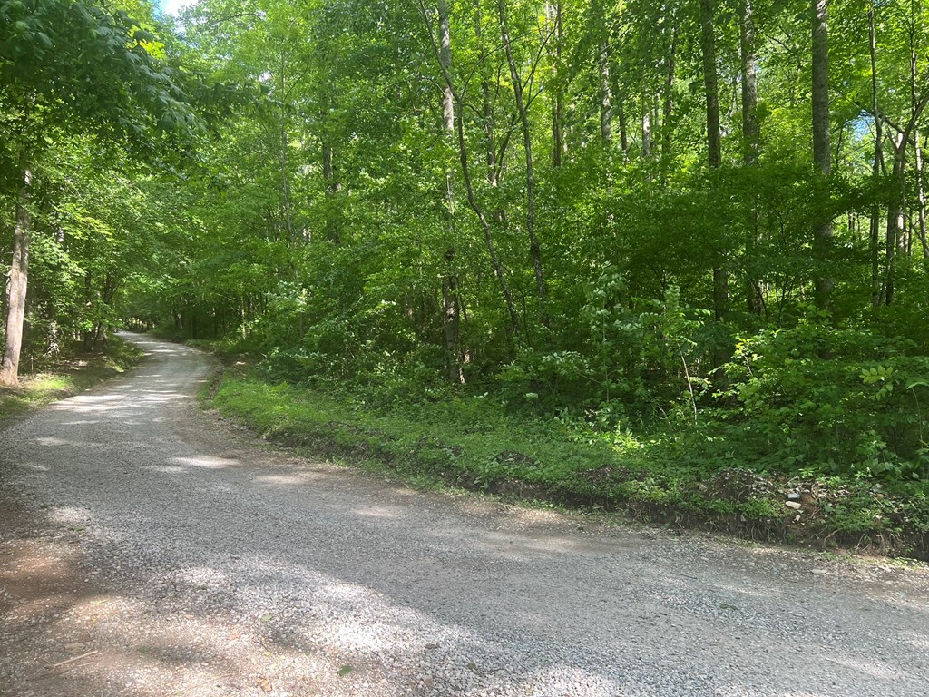 Lot 8 Collett Creek Rd #8, ANDREWS, North Carolina image 6