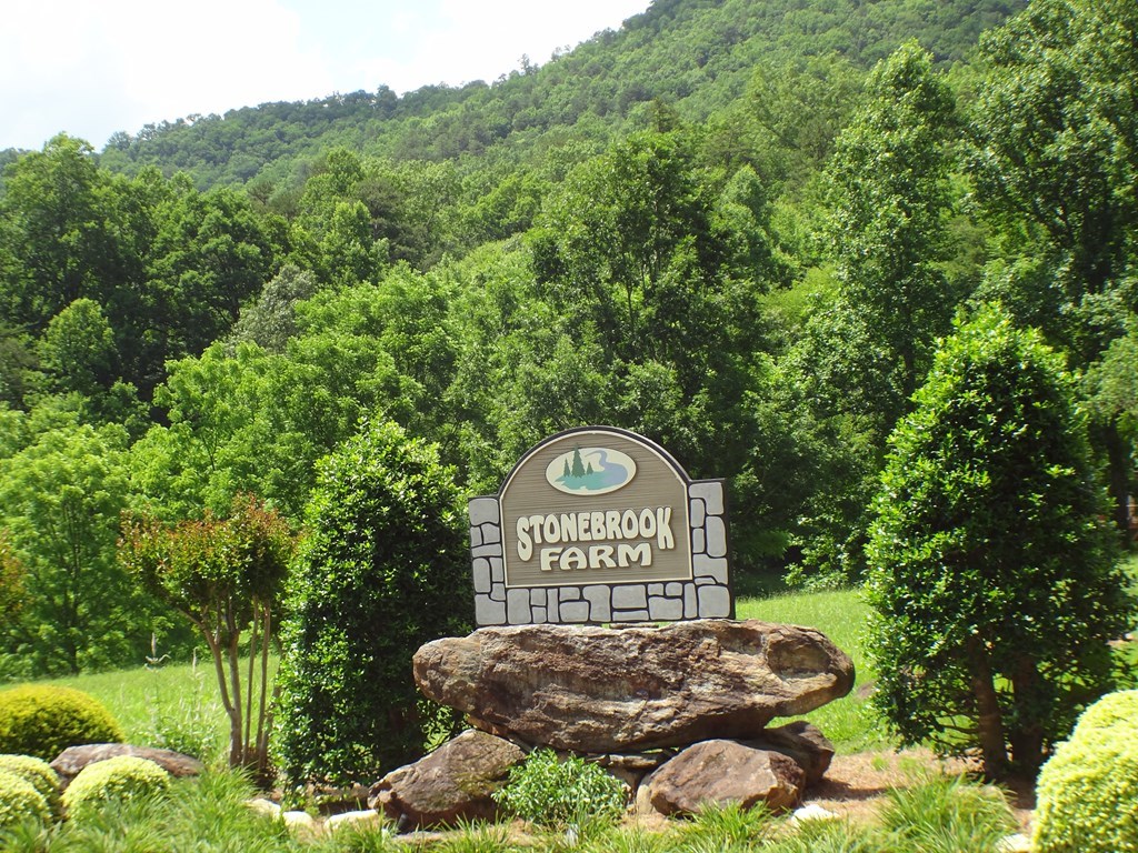 Lot #3 Stonebrook Heights #3, FRANKLIN, North Carolina image 10