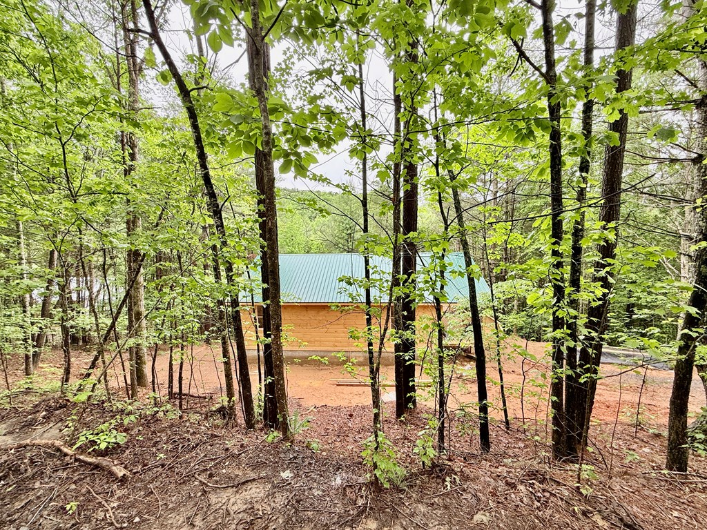 Lot 55 Choctaw Ridge Trail, MURPHY, North Carolina image 47
