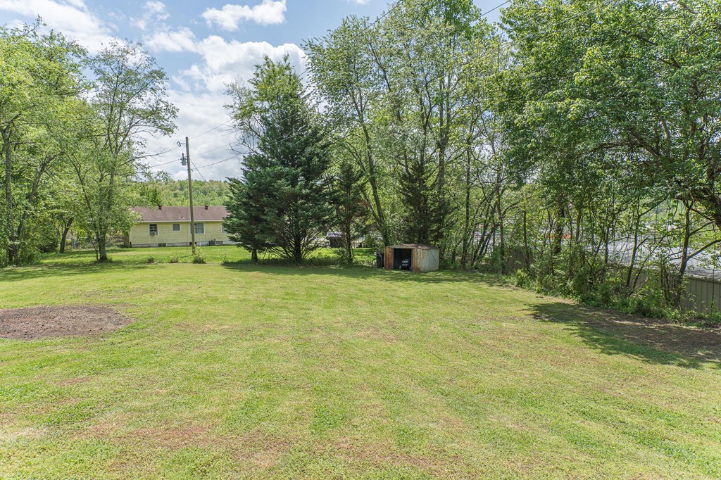 255 Truett Camp Road, HAYESVILLE, North Carolina image 37