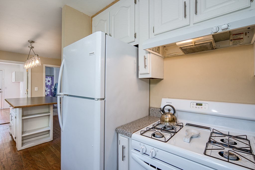 255 Truett Camp Road, HAYESVILLE, North Carolina image 12