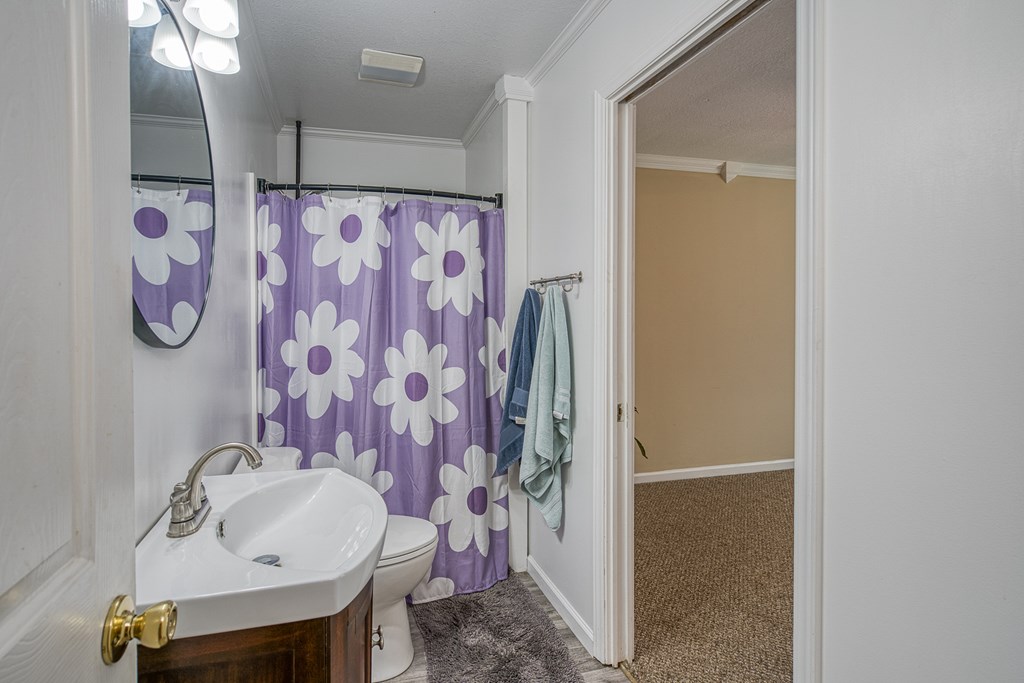 255 Truett Camp Road, HAYESVILLE, North Carolina image 14