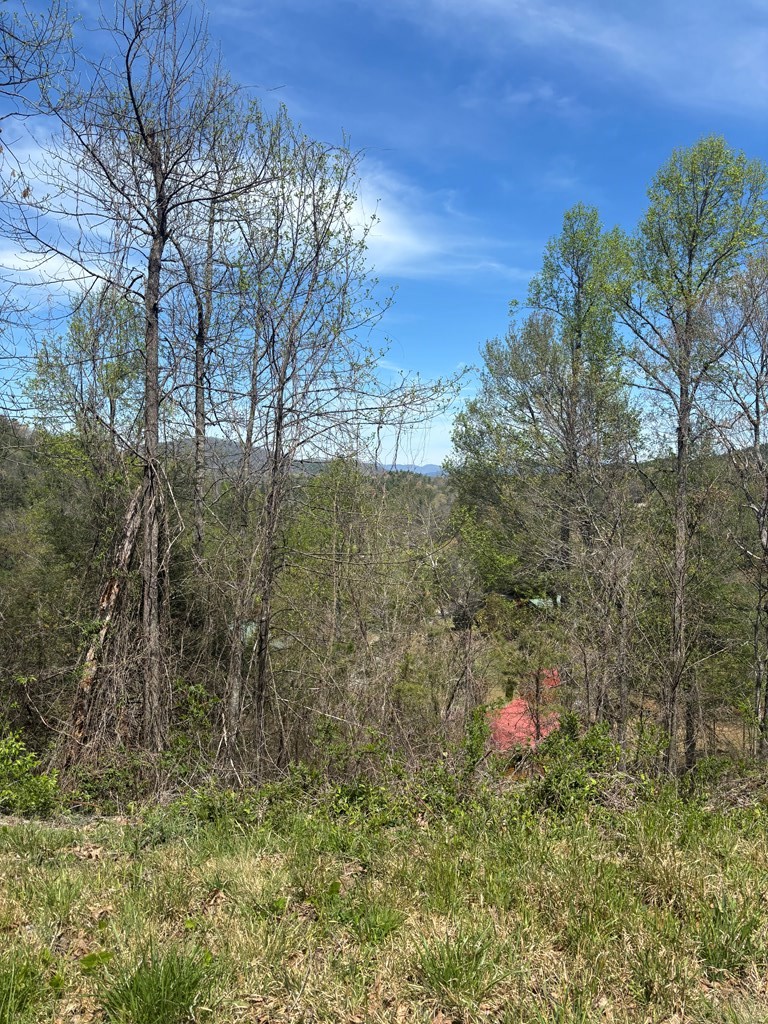 200 Carolina Fox Cir - Photo 4