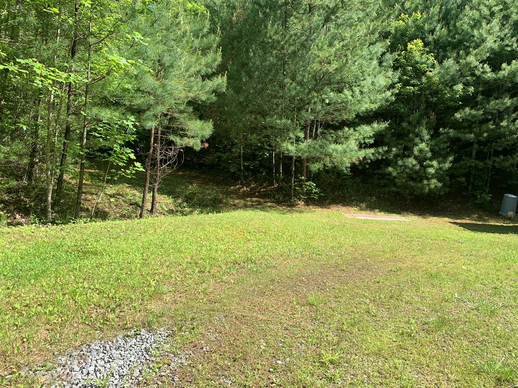 650 Tabby Ln, MURPHY, North Carolina image 11