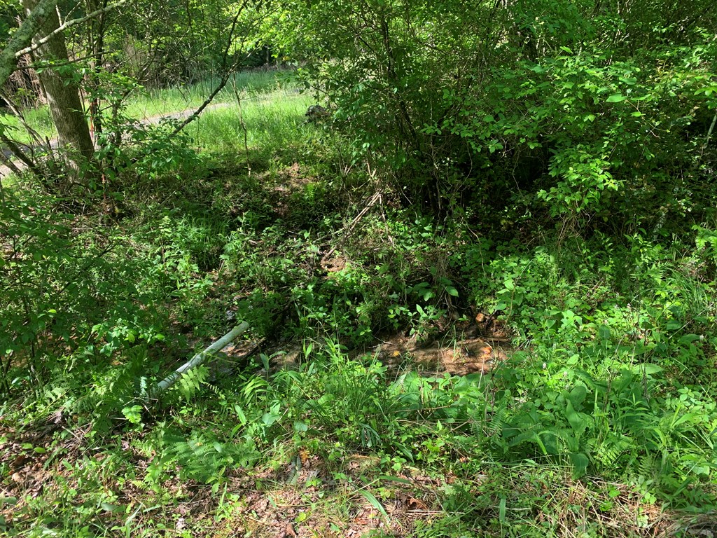 650 Tabby Ln, MURPHY, North Carolina image 14