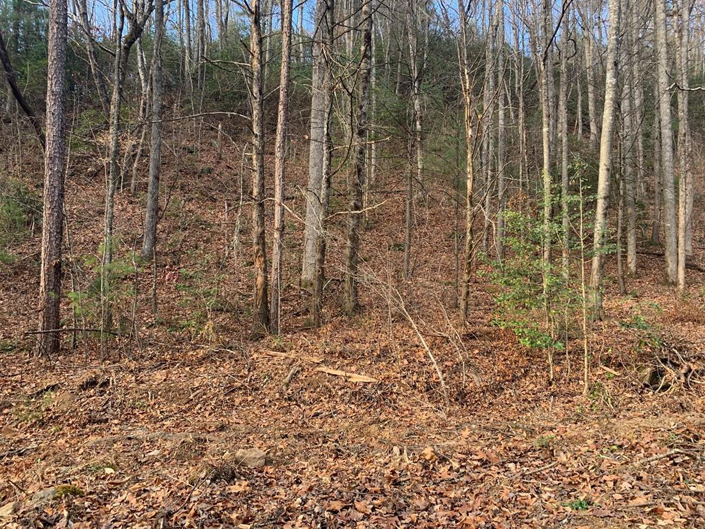 650 Tabby Ln, MURPHY, North Carolina image 4