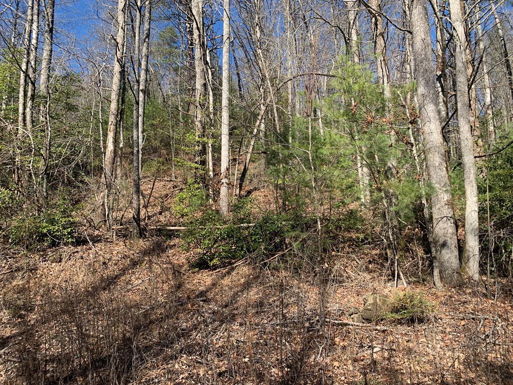 650 Tabby Ln, MURPHY, North Carolina image 12
