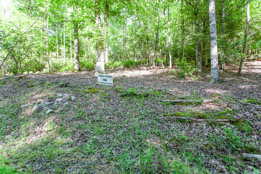 46/47 Holly Point Dr #46/47, MURPHY, North Carolina image 16