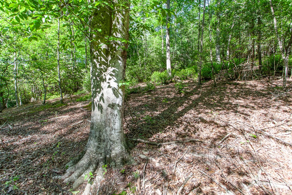 46/47 Holly Point Dr #46/47, MURPHY, North Carolina image 18