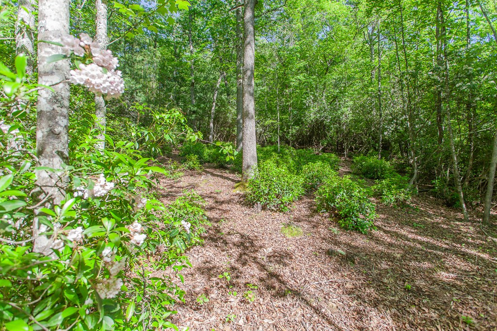 46/47 Holly Point Dr #46/47, MURPHY, North Carolina image 20