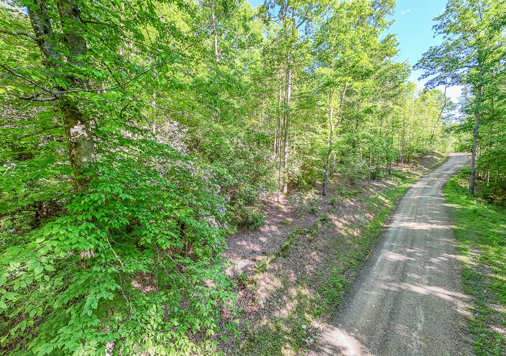46/47 Holly Point Dr #46/47, MURPHY, North Carolina image 19