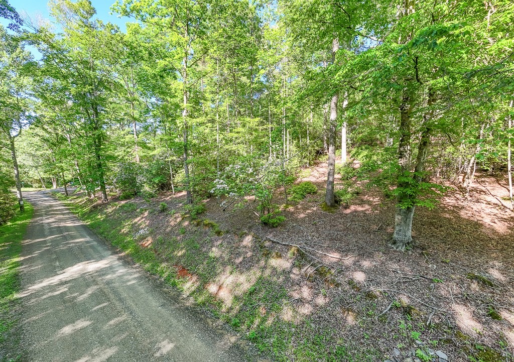 46/47 Holly Point Dr #46/47, MURPHY, North Carolina image 17