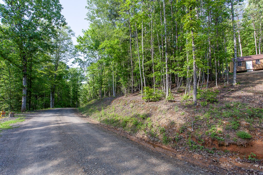 46/47 Holly Point Dr #46/47, MURPHY, North Carolina image 8