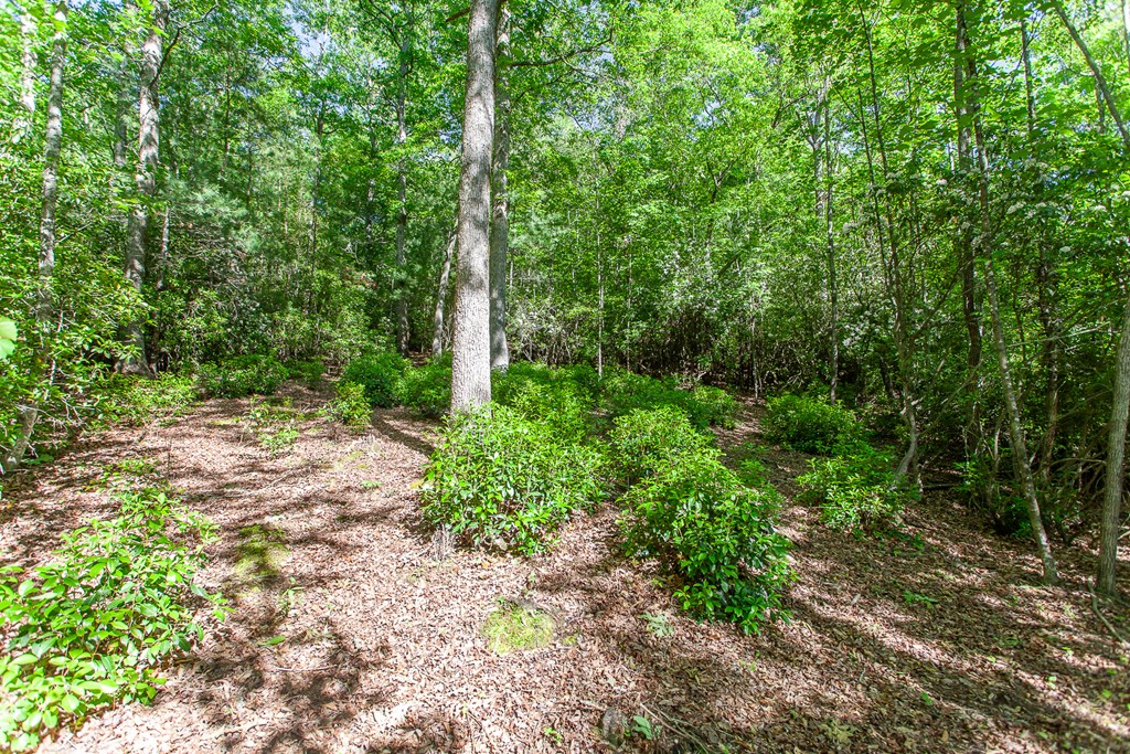 46/47 Holly Point Dr #46/47, MURPHY, North Carolina image 21