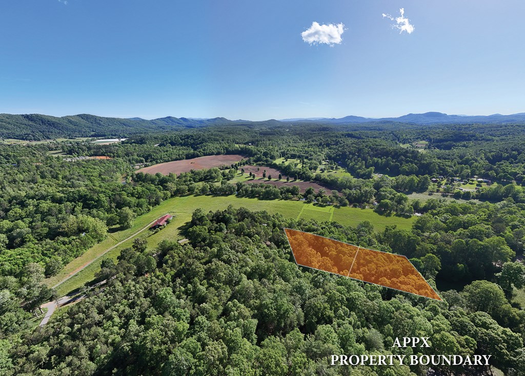 46/47 Holly Point Dr #46/47, MURPHY, North Carolina image 3