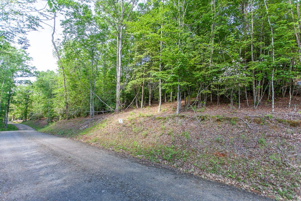 46/47 Holly Point Dr #46/47, MURPHY, North Carolina image 9