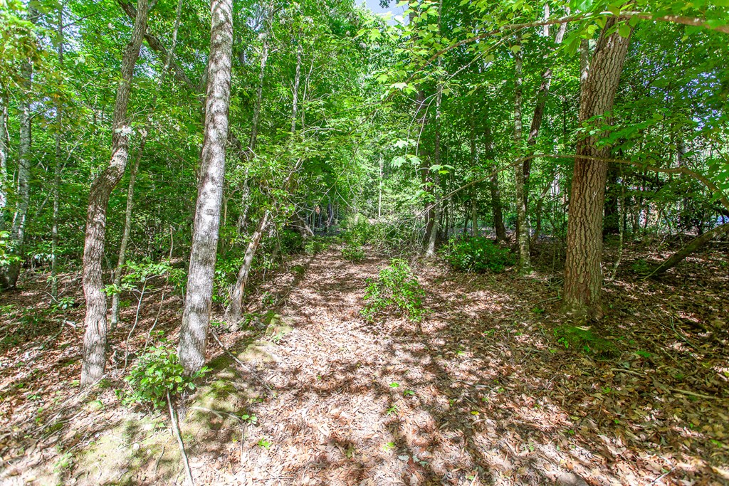 46/47 Holly Point Dr #46/47, MURPHY, North Carolina image 11