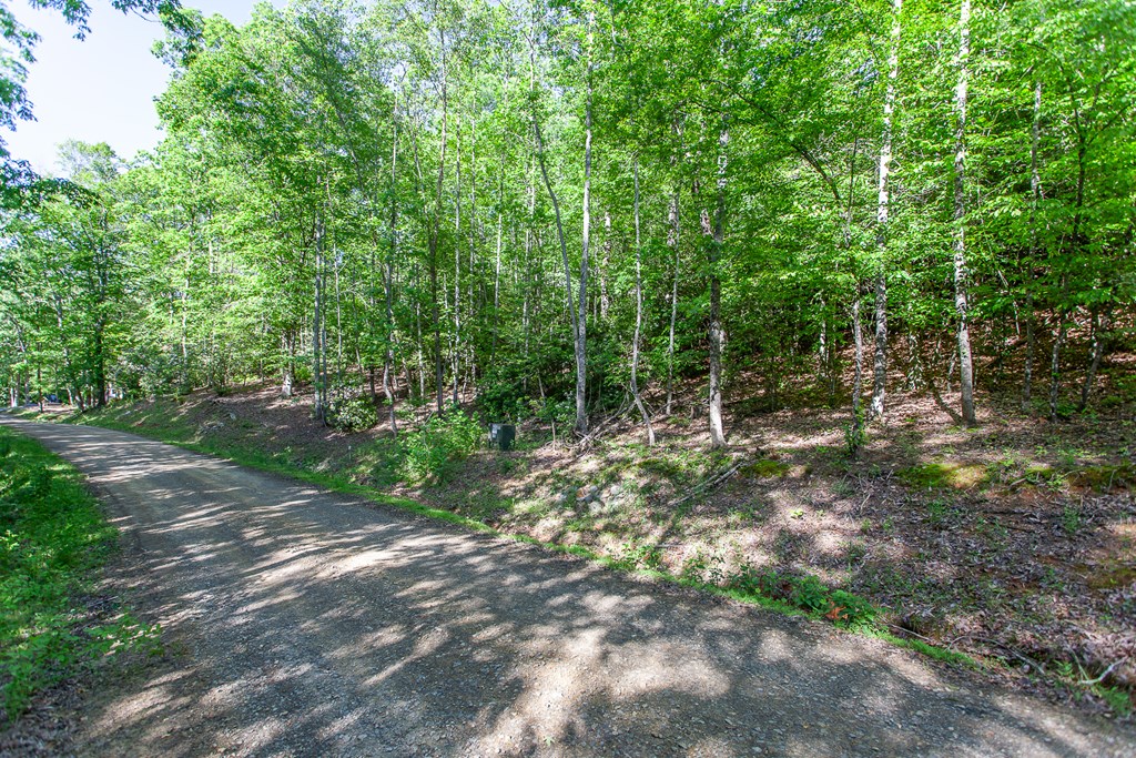 46/47 Holly Point Dr #46/47, MURPHY, North Carolina image 14