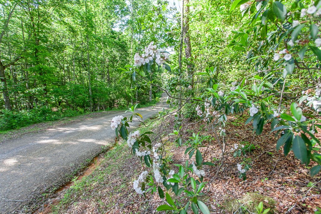 46/47 Holly Point Dr #46/47, MURPHY, North Carolina image 13