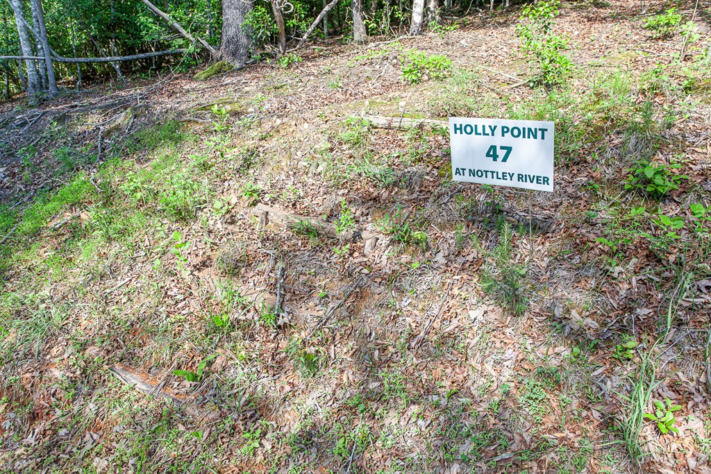 46/47 Holly Point Dr #46/47, MURPHY, North Carolina image 10