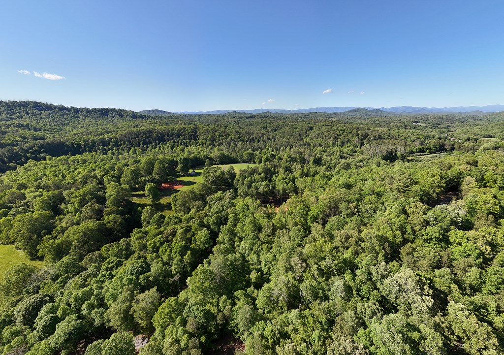 46/47 Holly Point Dr #46/47, MURPHY, North Carolina image 7