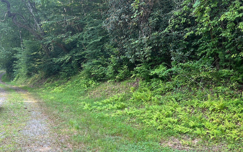 Lot 16 Hidden River #16, HAYESVILLE, North Carolina image 9