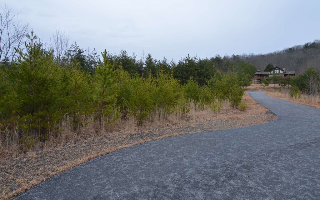 Lot 2 Preserve At Beach Mtn #2, HAYESVILLE, New Mexico image 6