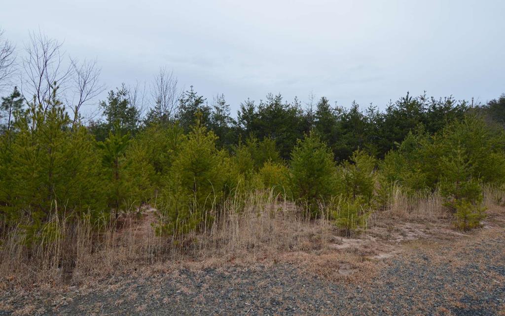 Lot 2 Preserve At Beach Mtn #2, HAYESVILLE, New Mexico image 1