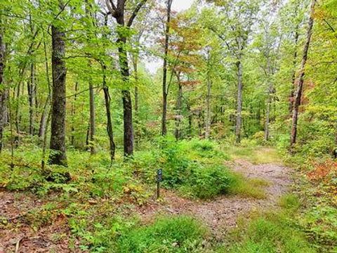 Vacant Land For Sale - LOT 30 Skyview Drive #30<br/> HAYESVILLE, NC 28904