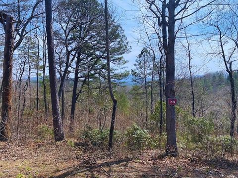 Vacant Land For Sale - LOT 28 Brasstown Trails #28<br/> WARNE, NC 28909