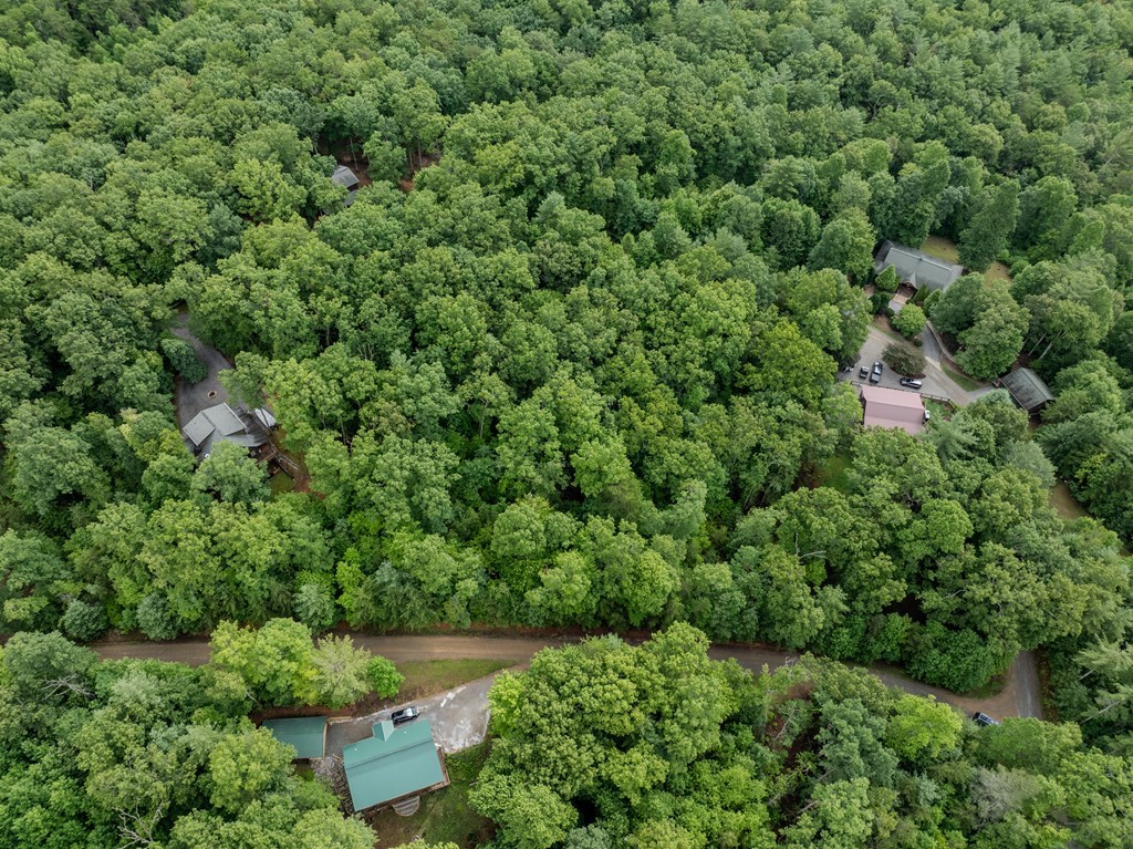 Lot 18 Gray Grouse Trail #18, MURPHY, North Carolina image 4