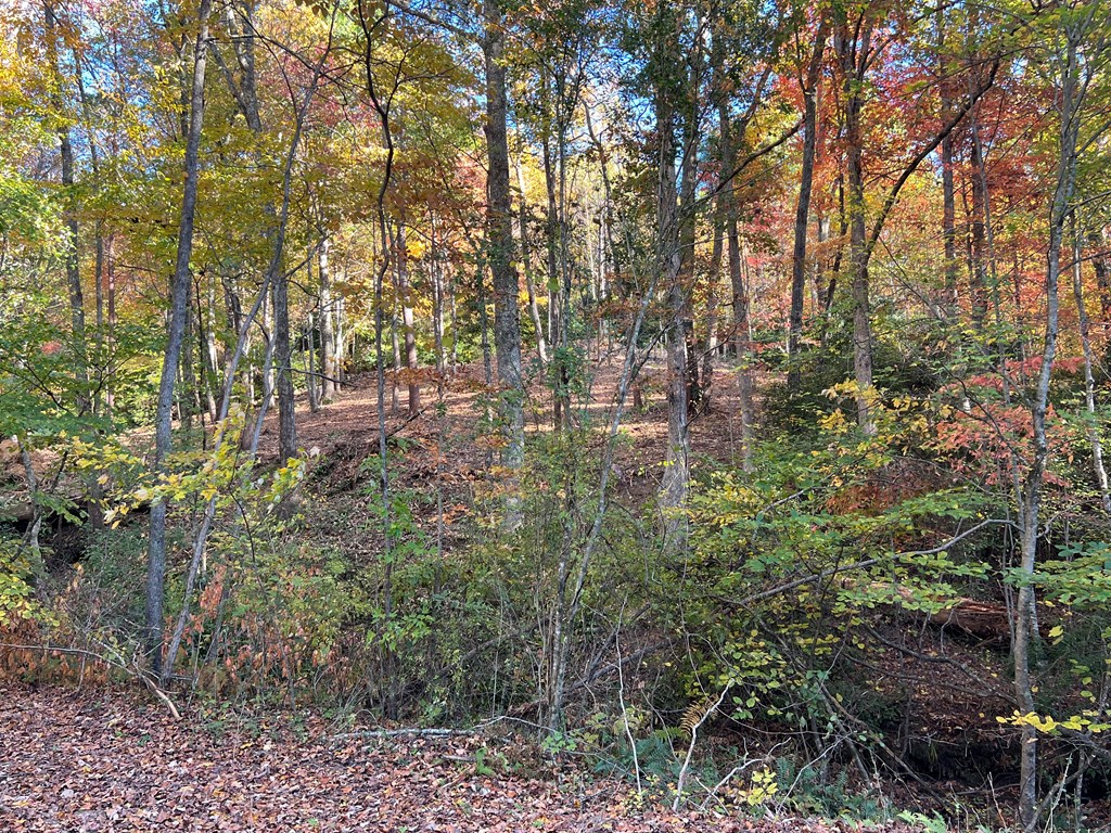 1 Bartin Ridge #1, MURPHY, North Carolina image 25