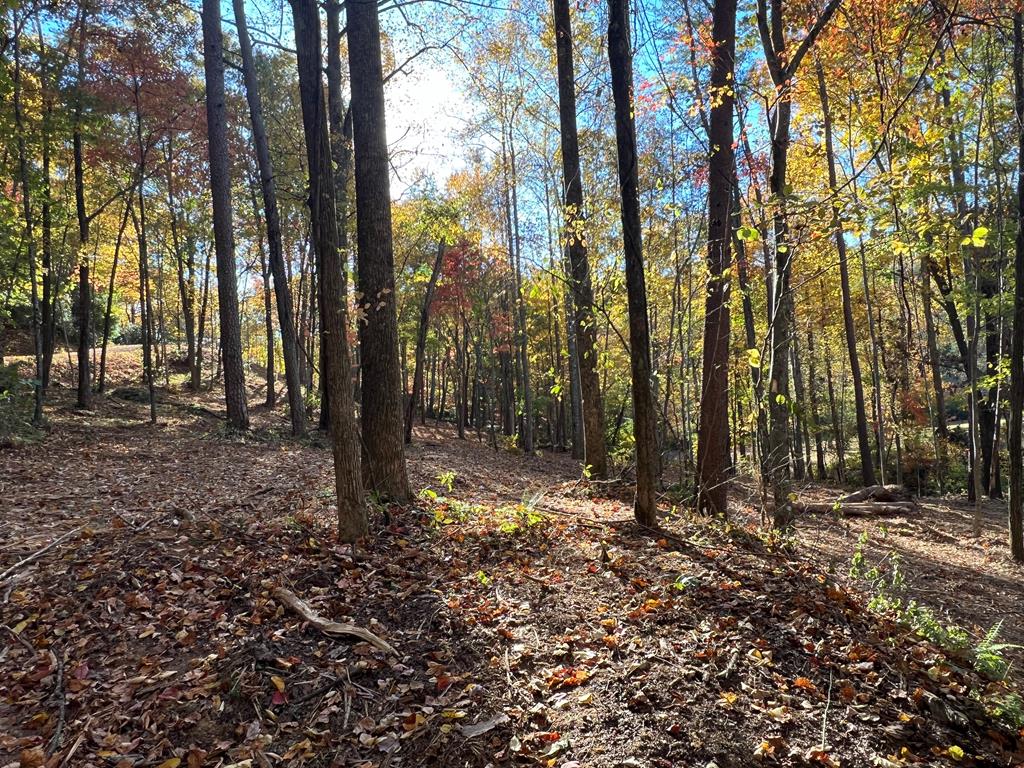 1 Bartin Ridge #1, MURPHY, North Carolina image 23