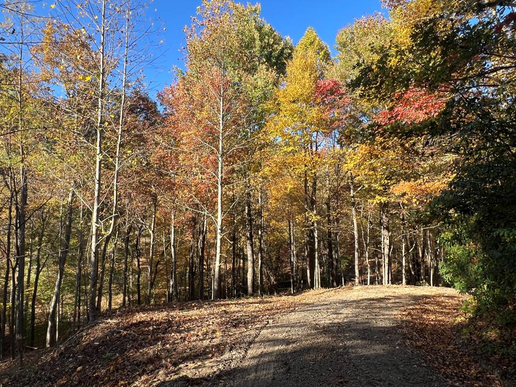 1 Bartin Ridge #1, MURPHY, North Carolina image 16