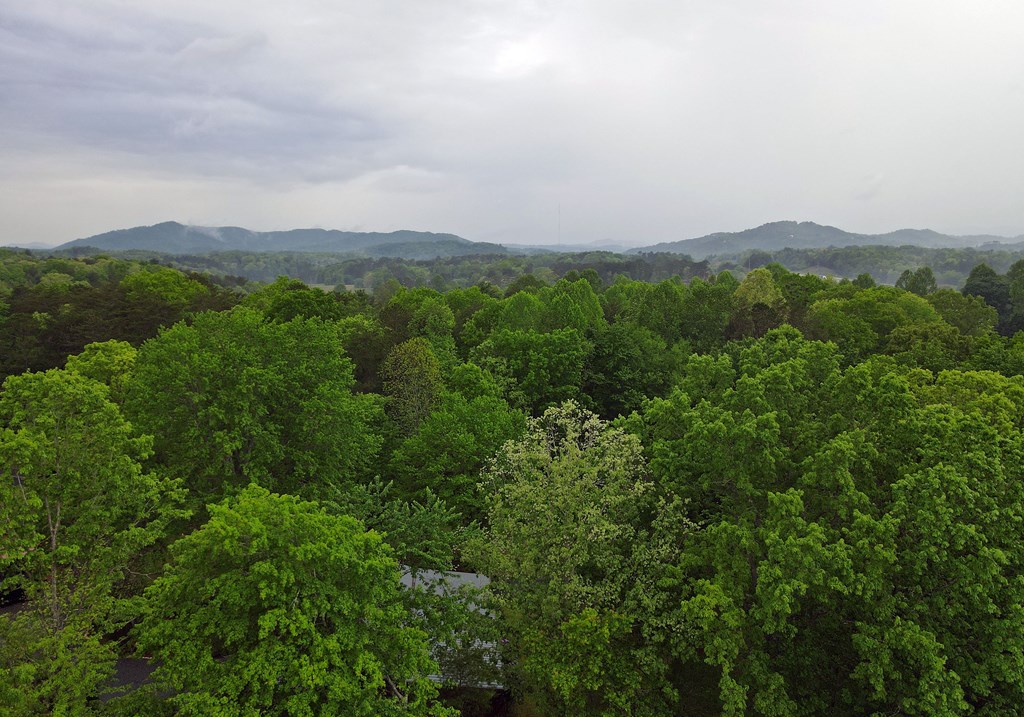 71 Mountain Laurel Rd, MURPHY, North Carolina image 43