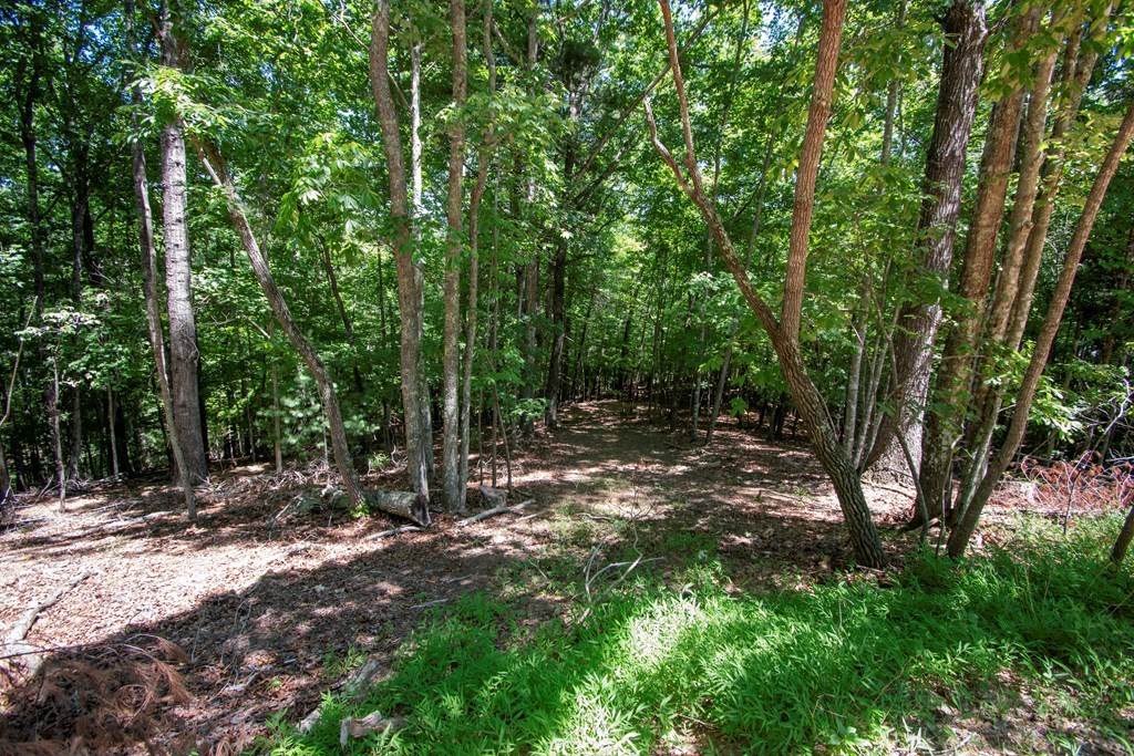 337 Simpson Mountain Road, MURPHY, North Carolina image 36