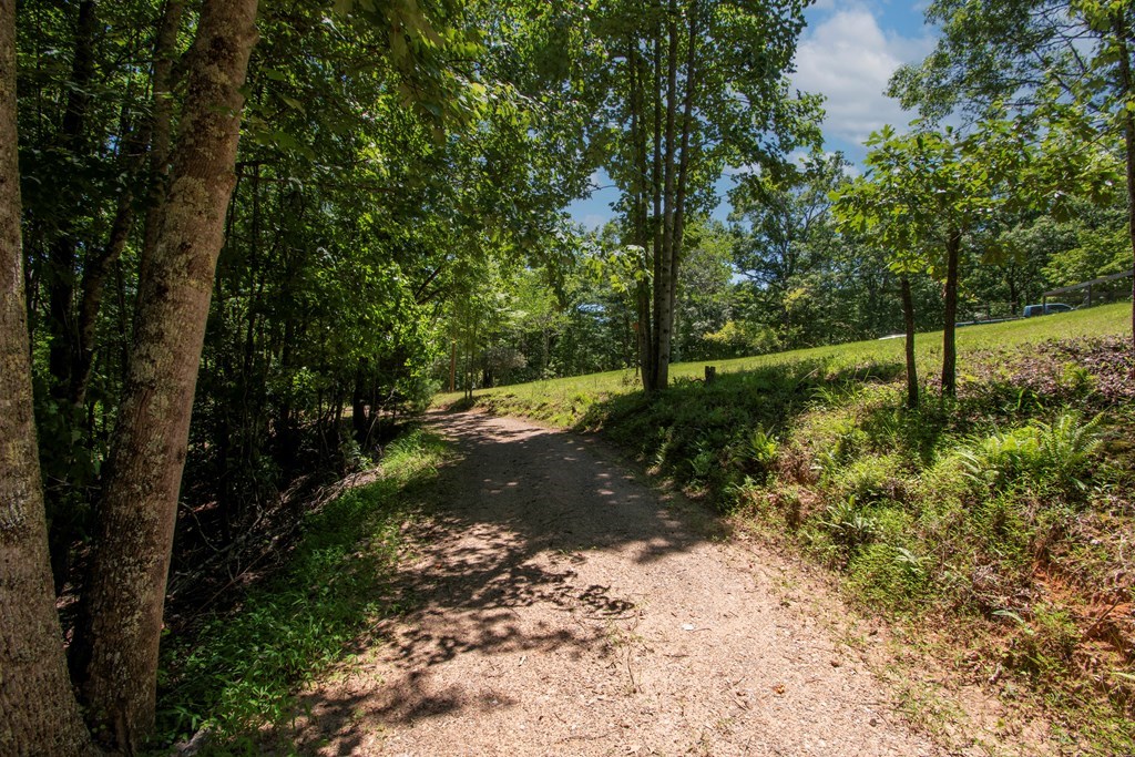 337 Simpson Mountain Road, MURPHY, North Carolina image 37