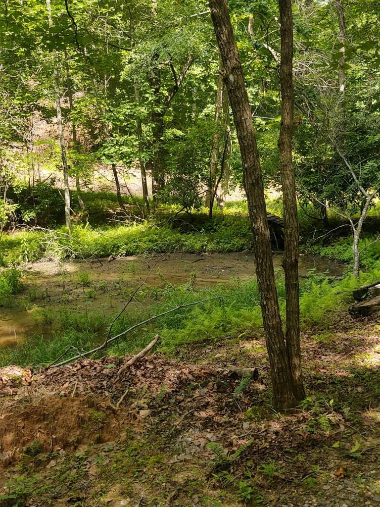 337 Simpson Mountain Road, MURPHY, North Carolina image 40