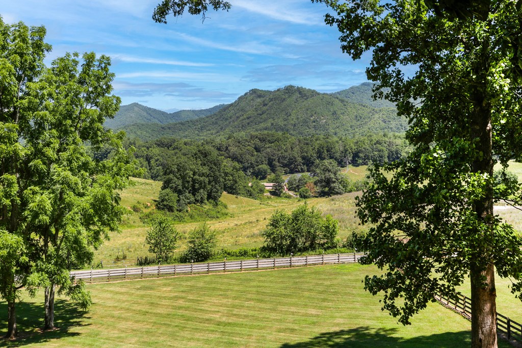 770 Geisky Creek Rd, HAYESVILLE, North Carolina image 44