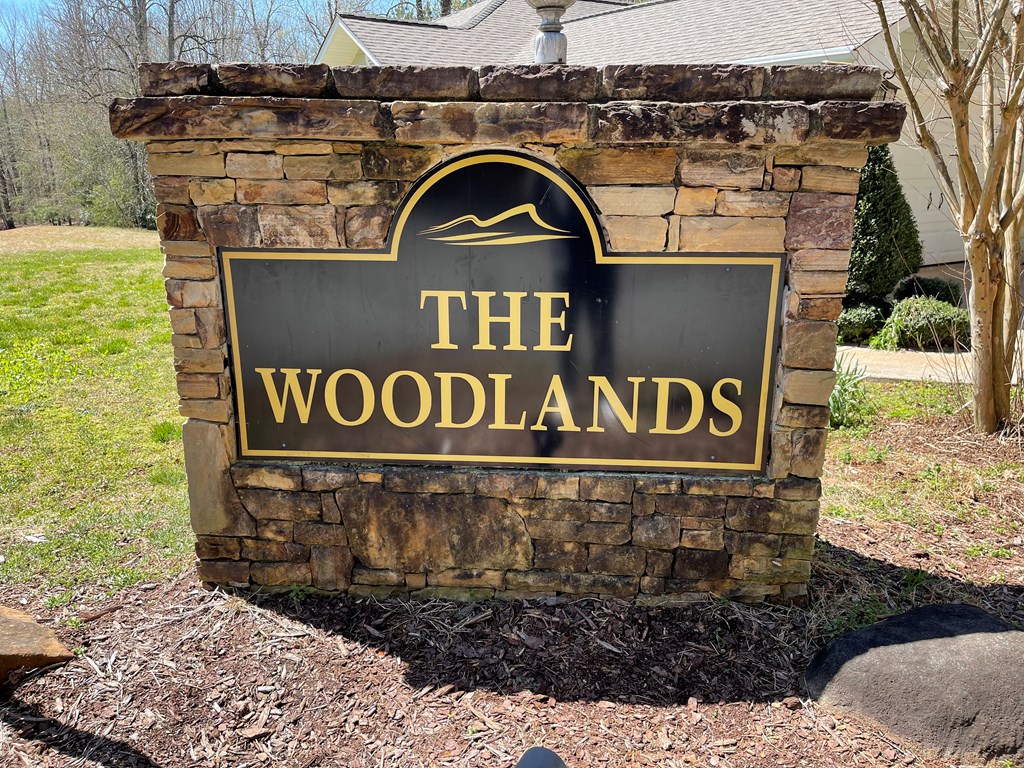 Lot #12E The Woodlands #12E, HAYESVILLE, North Carolina image 3