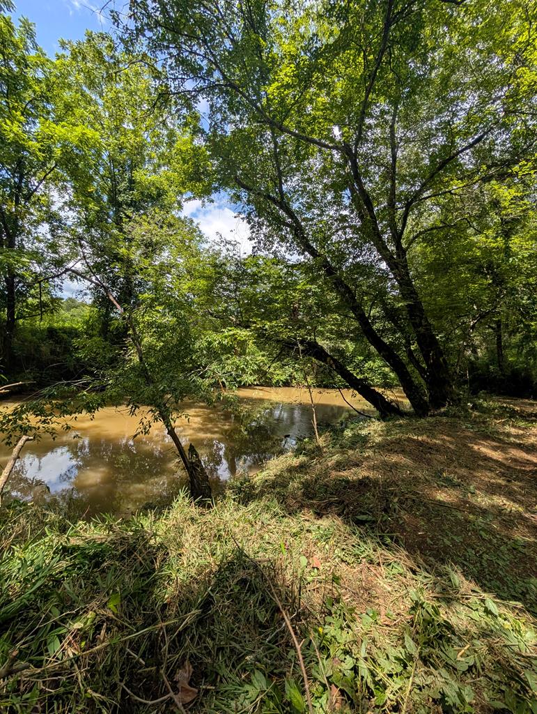 Photo 1 of 15 — 1.0 Ac Old Hwy 64 W Unit 4, WARNE, NC 28909