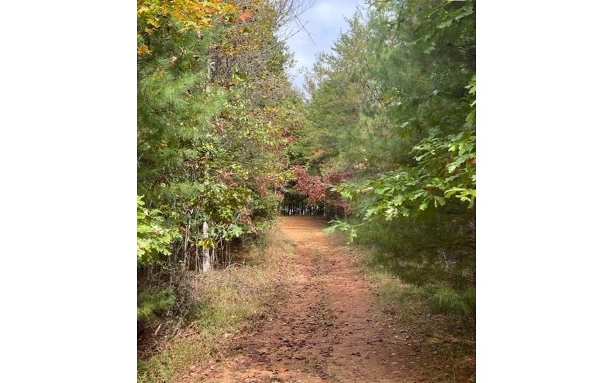 00 Tobe Stalcup Road, MURPHY, North Carolina image 2